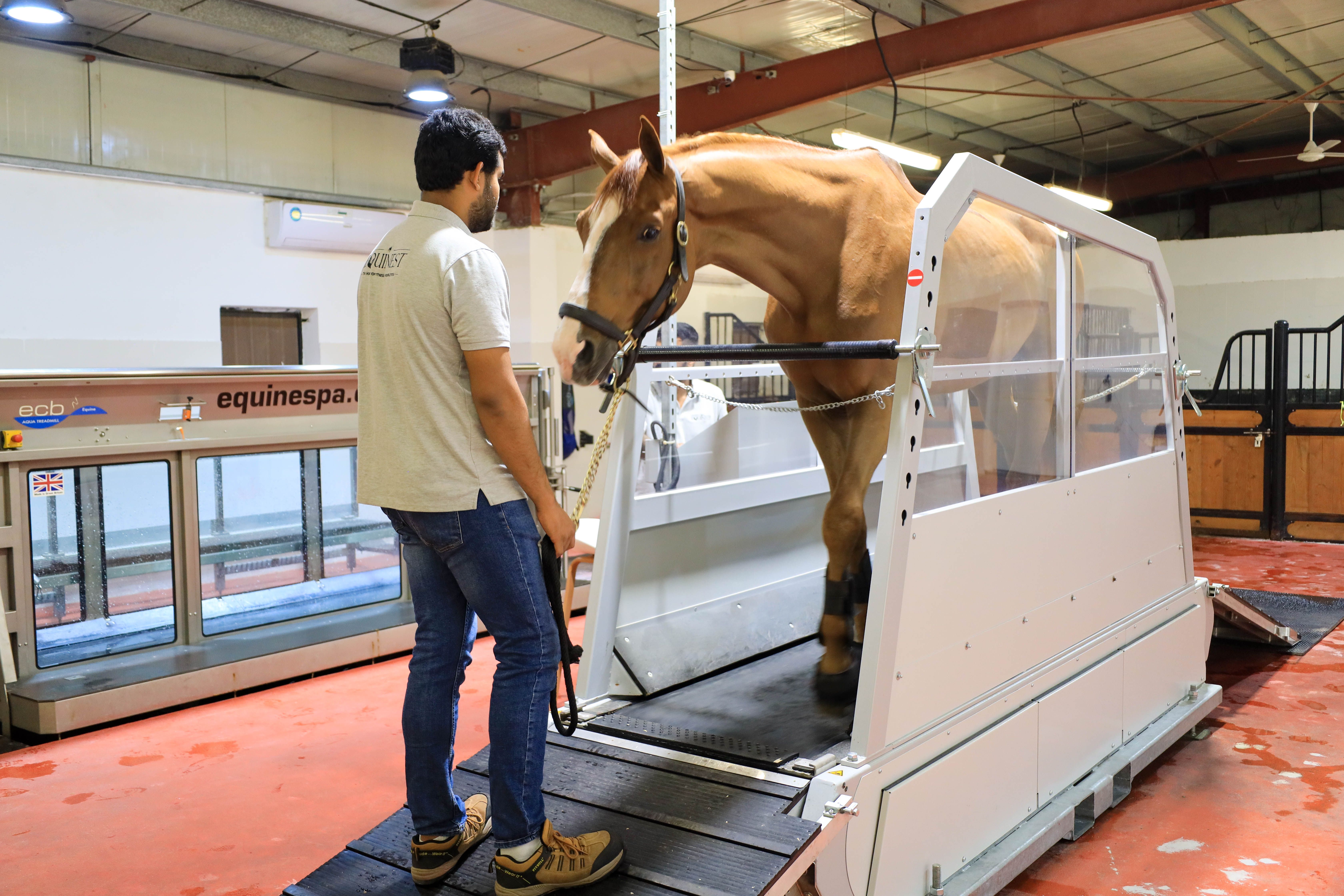 Vibration treadmill (20 Mins) — photo 1