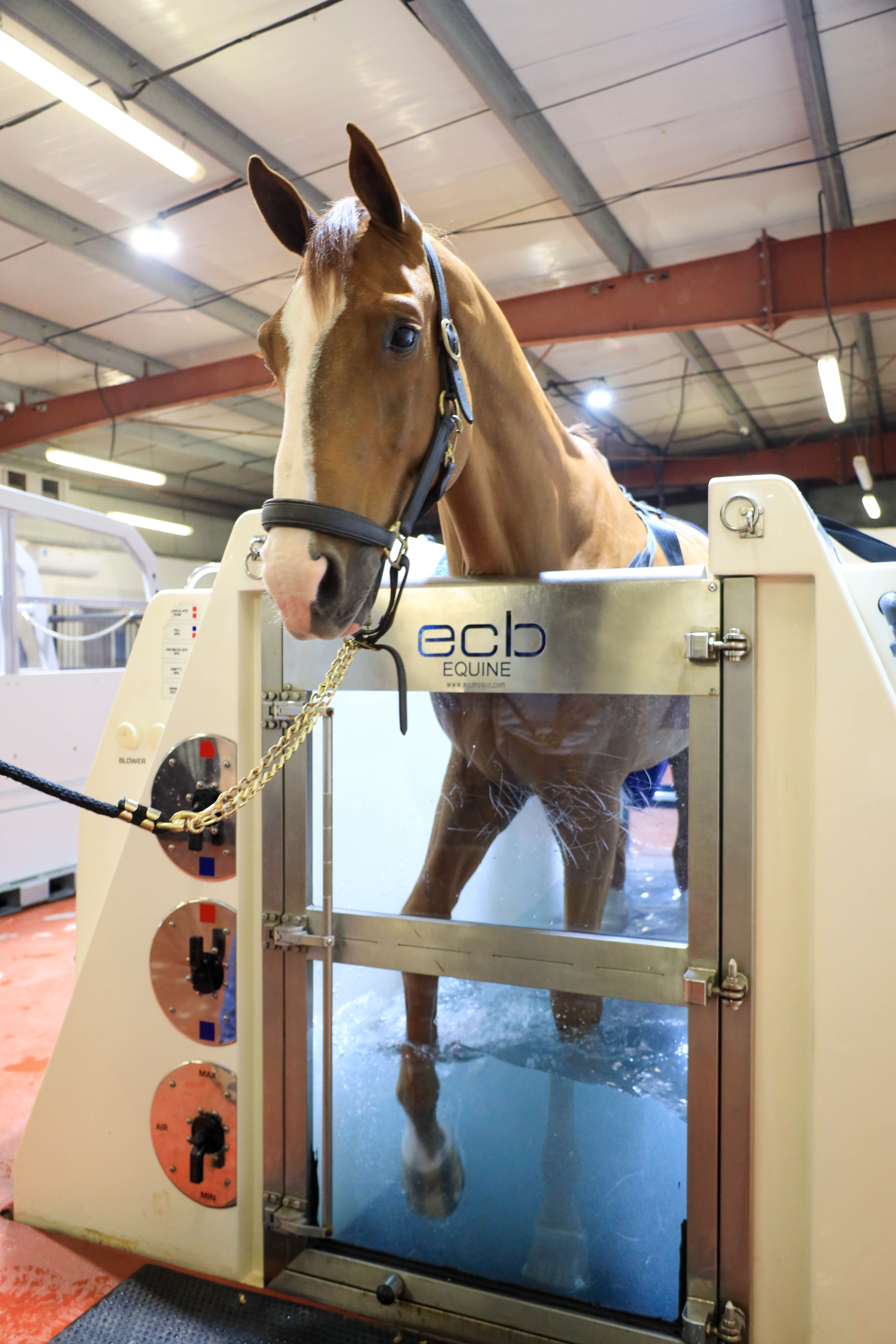 Cold water spa (20 Mins) — photo 1