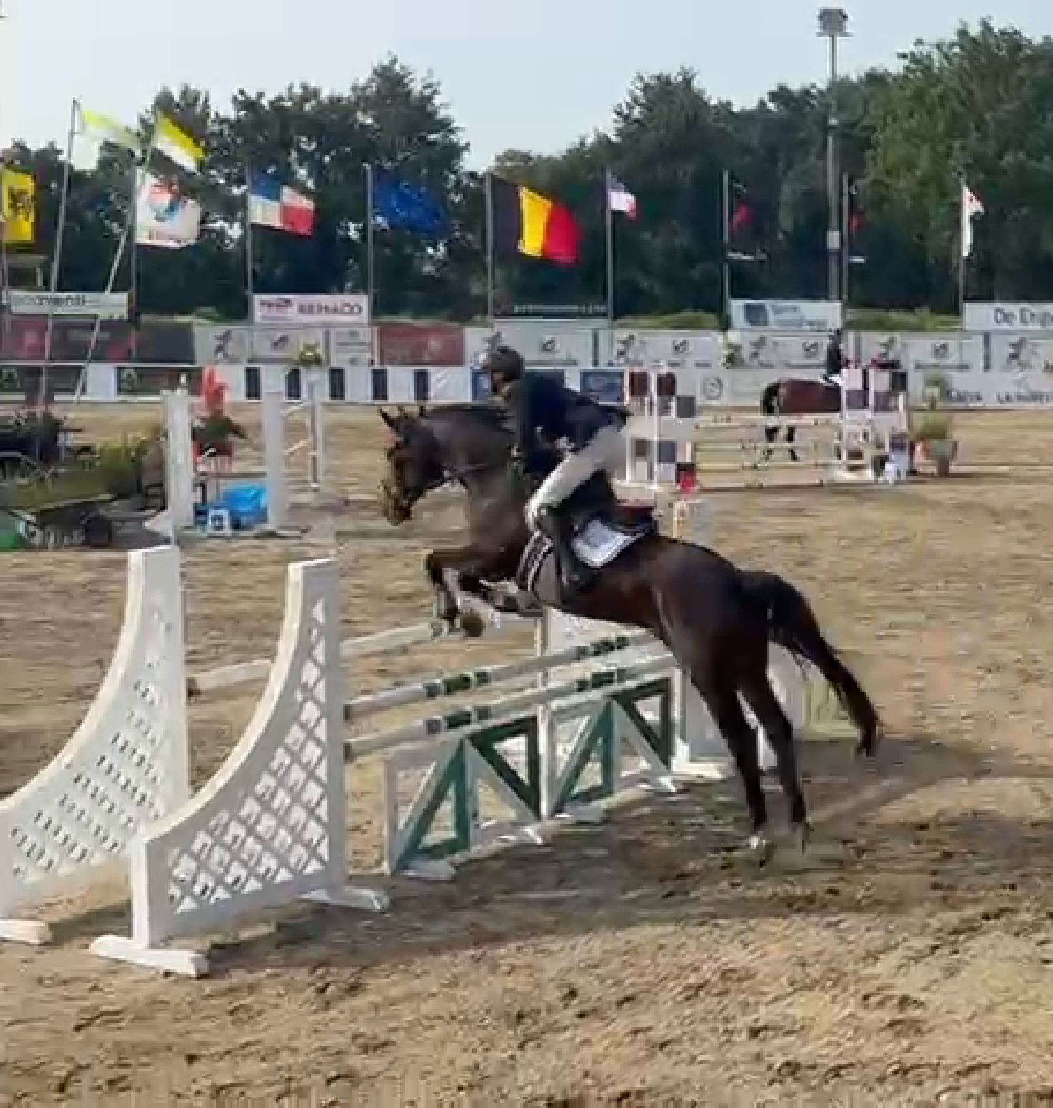 GUTRIC VAN BEEK — photo 1