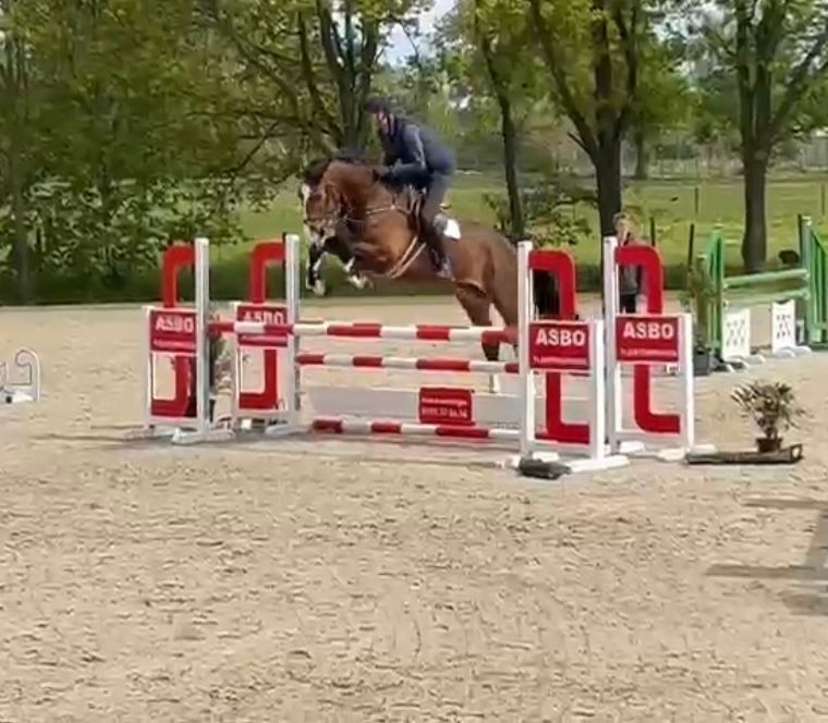 DESIGNER VAN INNCREATIONS — photo 1