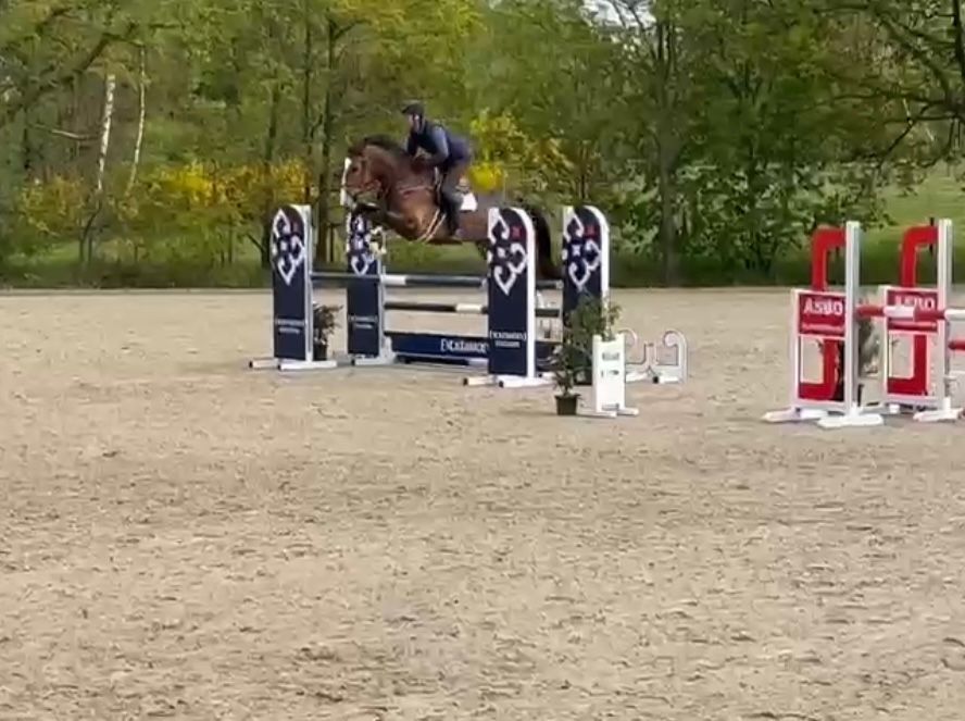 DESIGNER VAN INNCREATIONS — photo 2