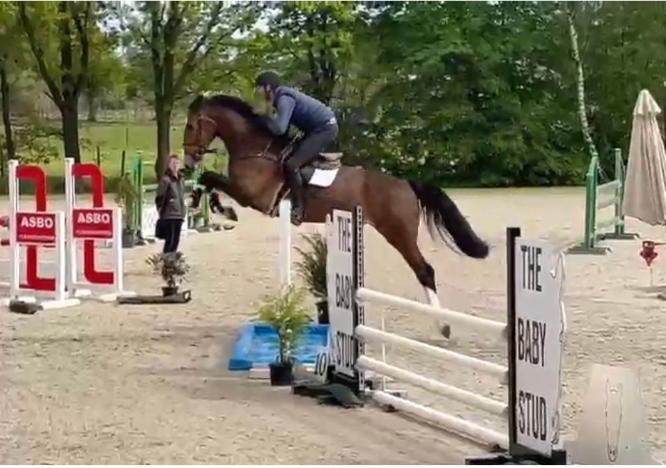 DESIGNER VAN INNCREATIONS — photo 3