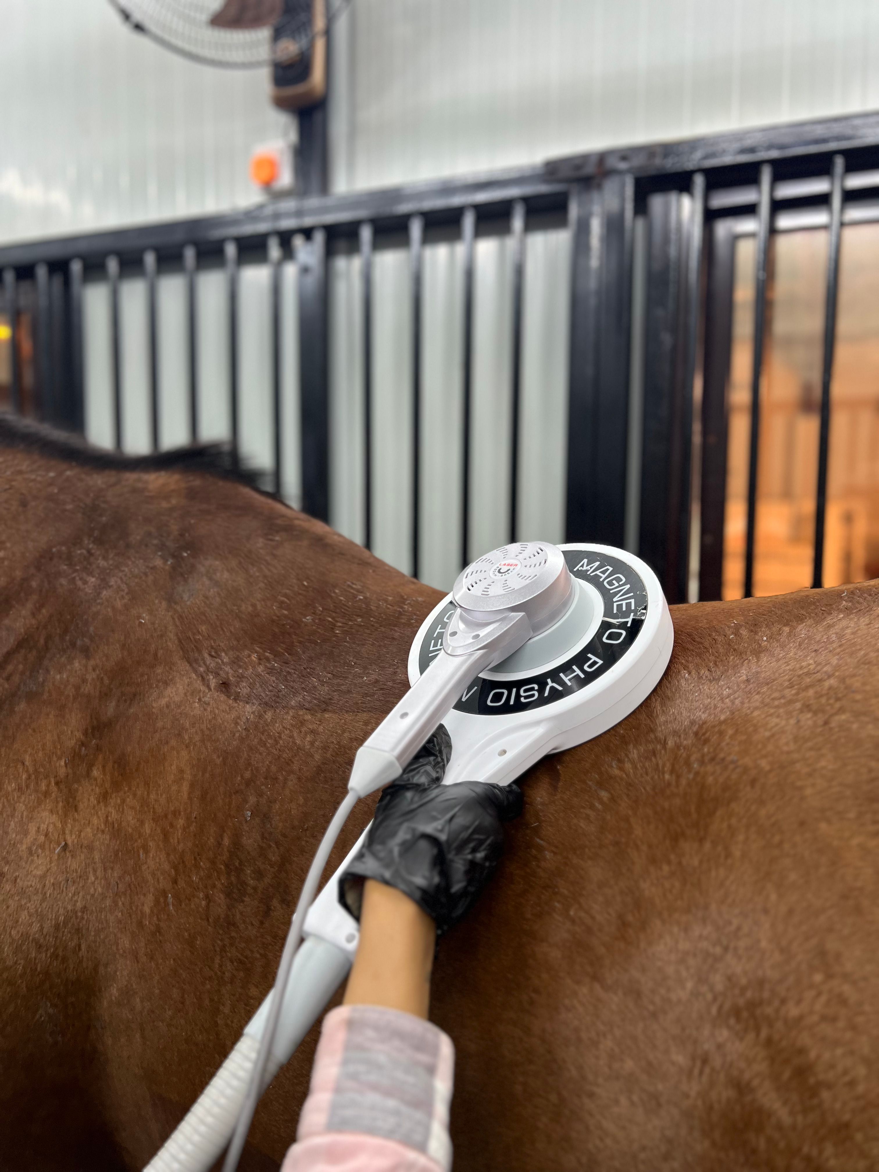 PEMF (round head +loop) (30 Mins) — photo 1