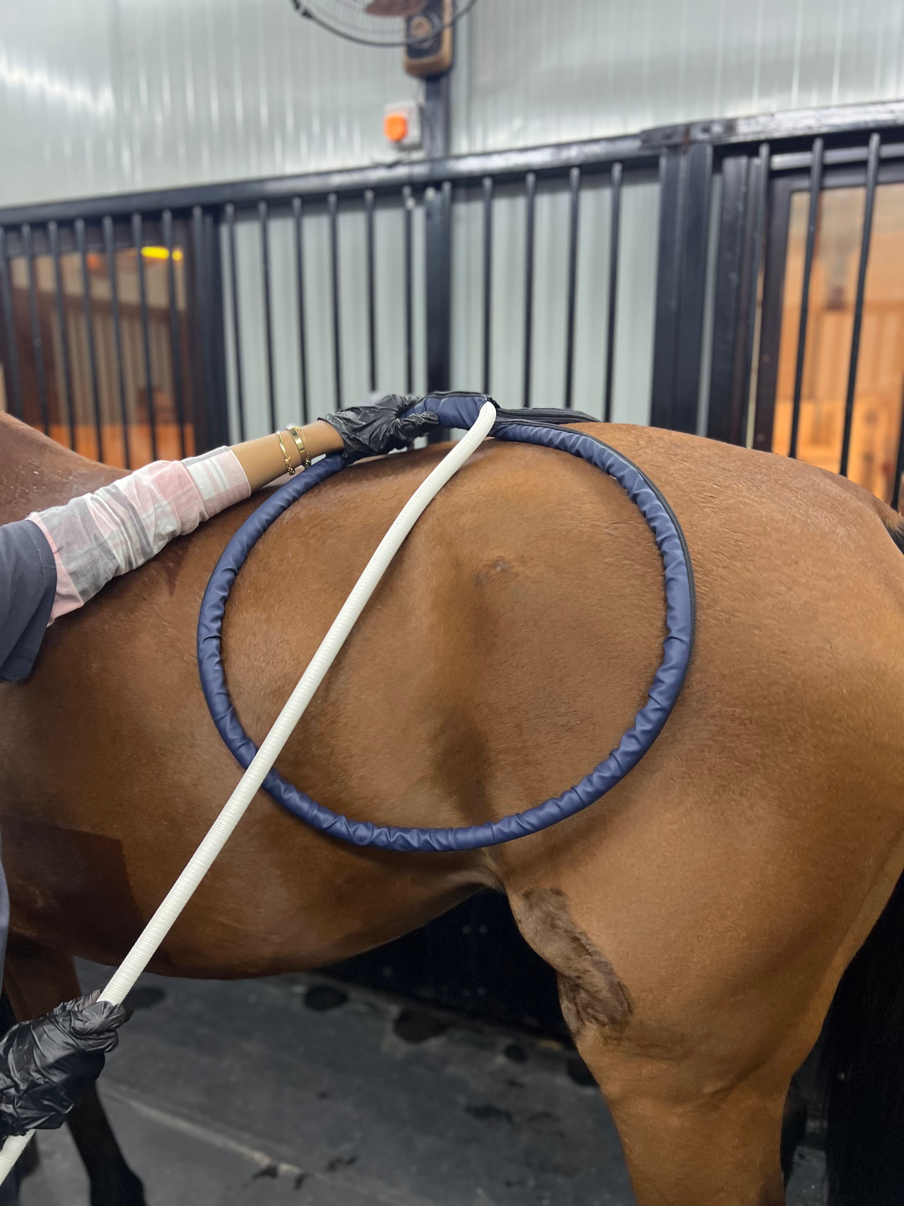 PEMF (round head +loop) (30 Mins) — photo 2