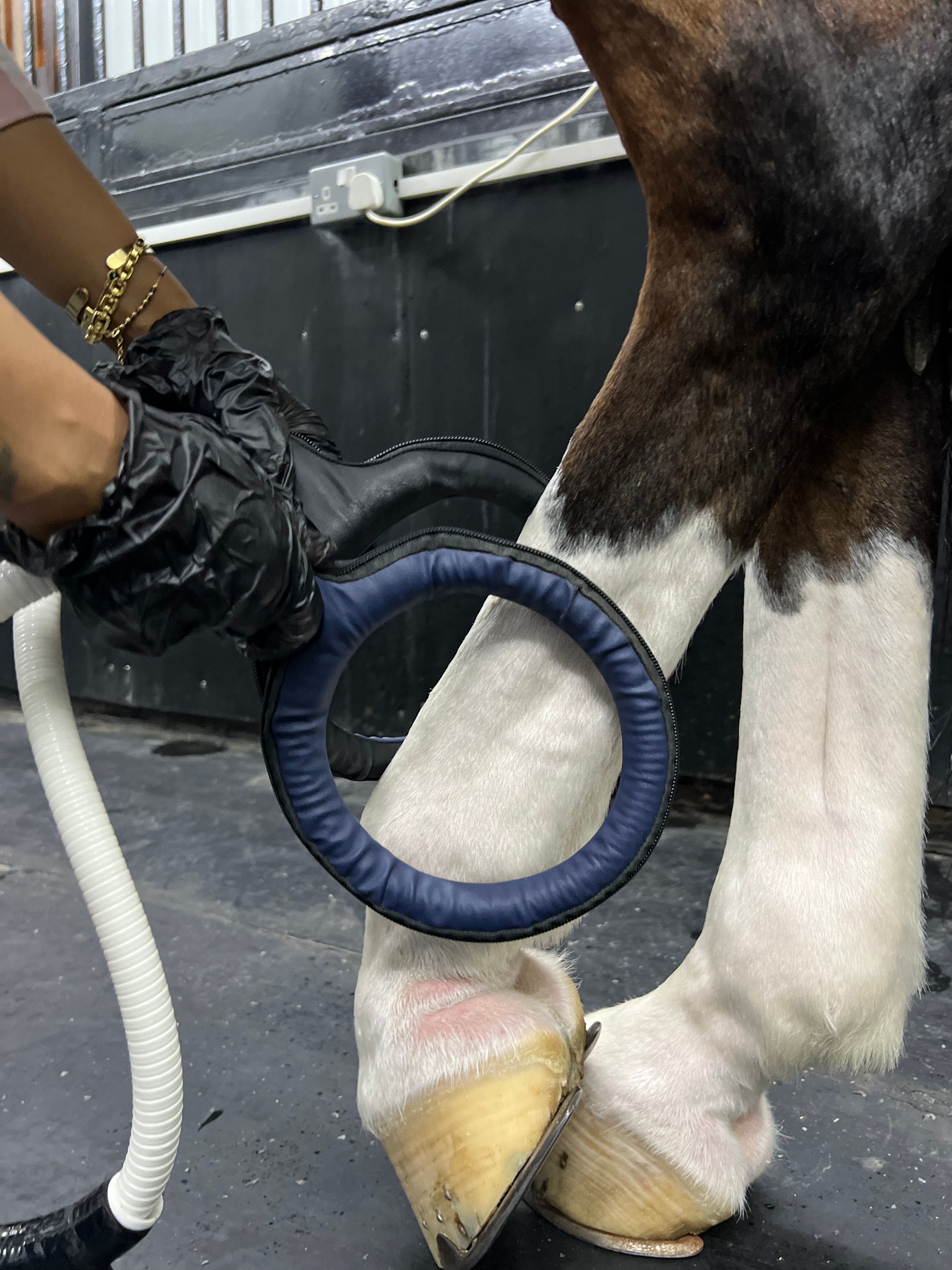 PEMF loop (20 Mins) — photo 2