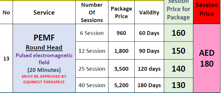 PEMF round head (20 Mins) — photo 2