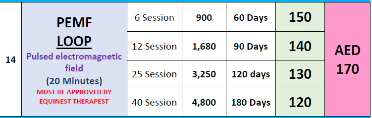 PEMF loop (20 Mins) — photo 3