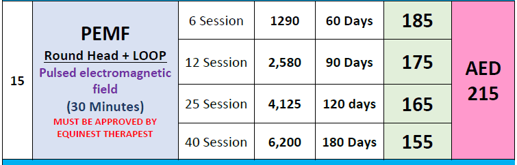 PEMF (round head +loop) (30 Mins) — photo 3