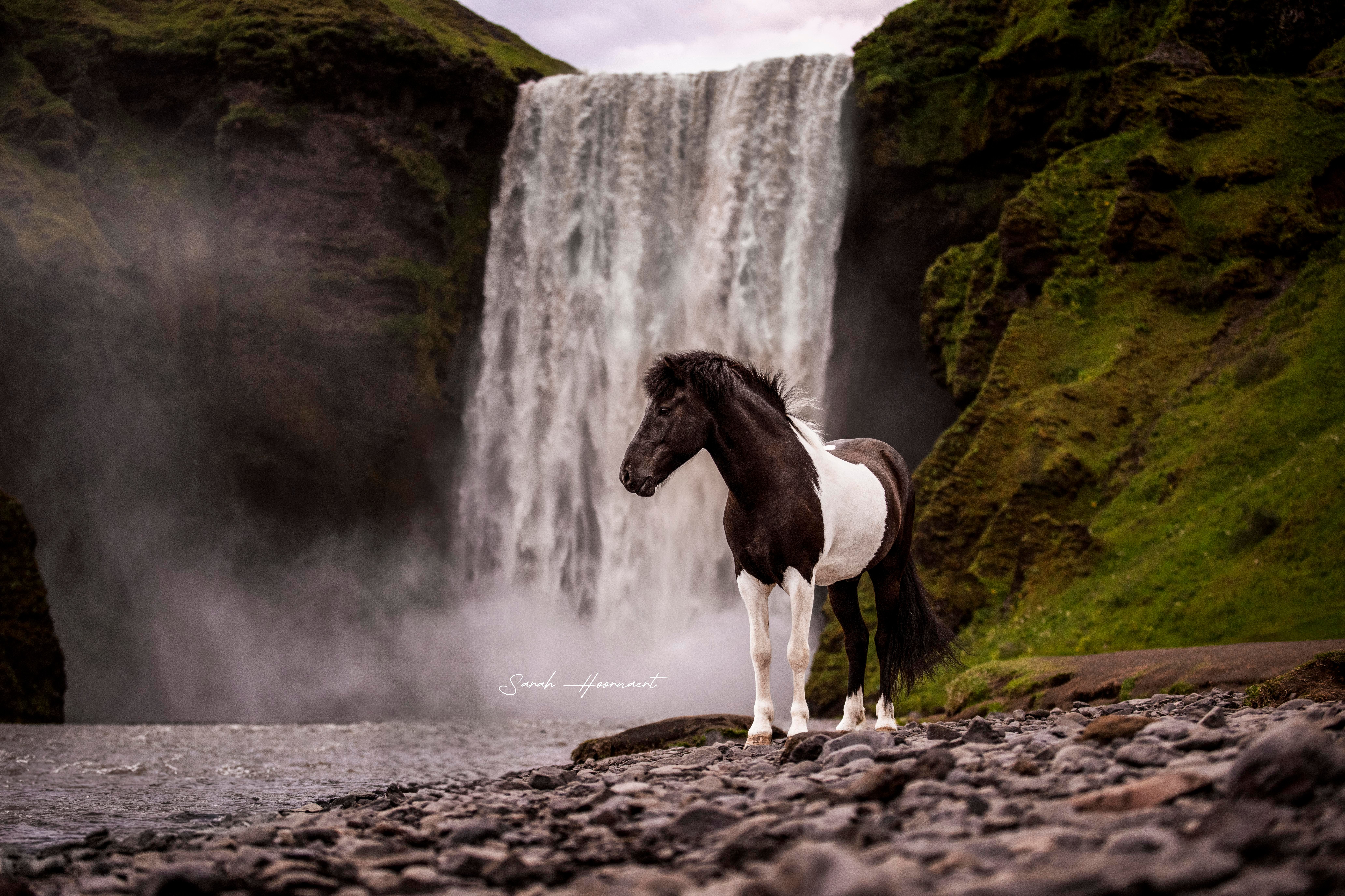 A Legacy Worth Keeping — photo 1