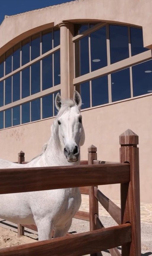 Where horse fencing meets Equine Excellence — photo 2