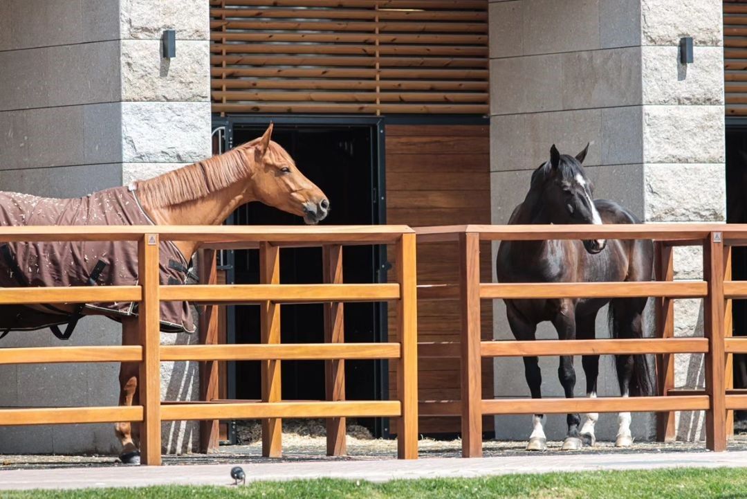 Where horse fencing meets Equine Excellence — photo 3