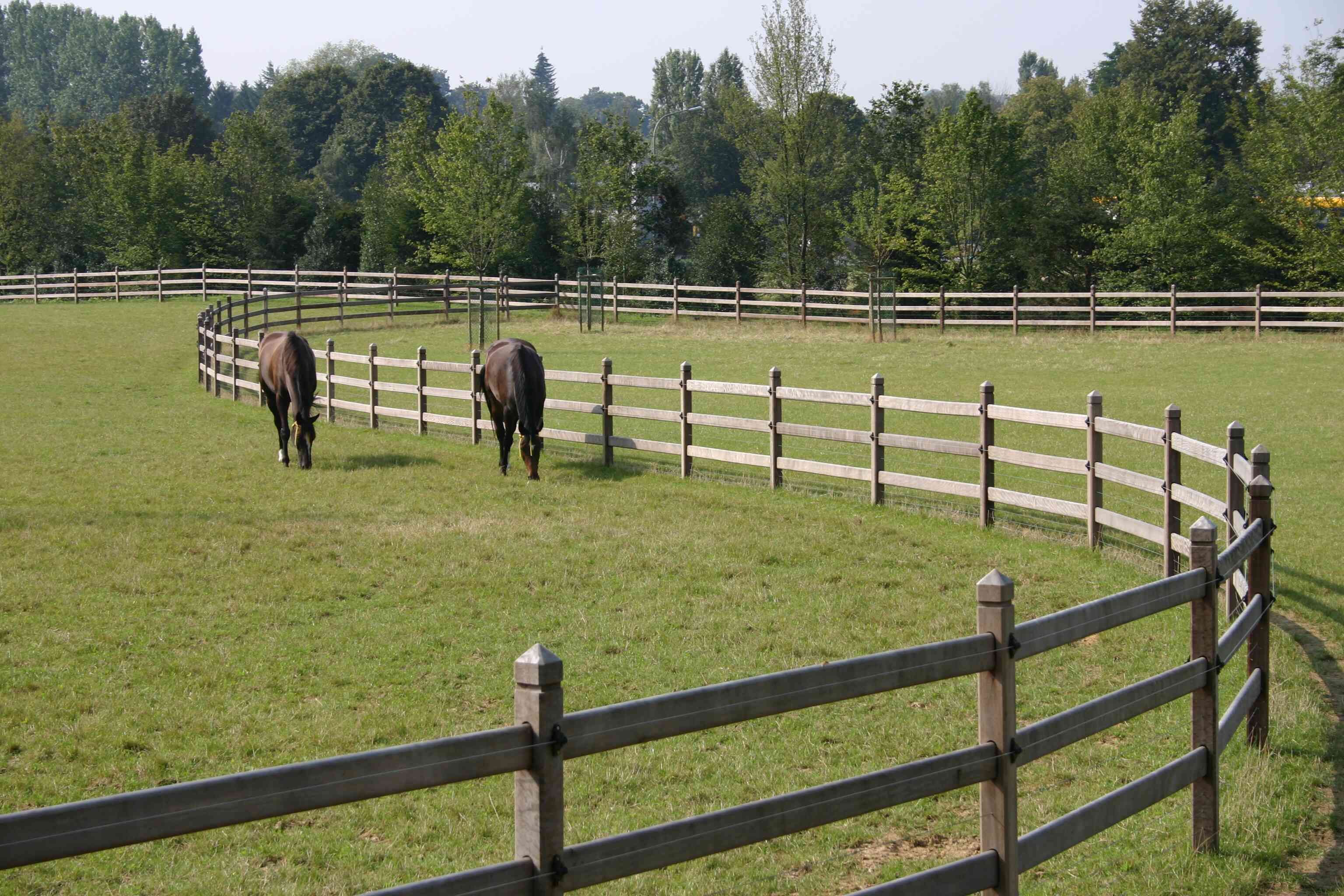Where horse fencing meets Equine Excellence — photo 5