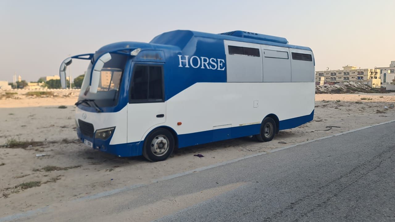 نقل واستيراد الخيول لكل انحاء دول الخليج — photo 2