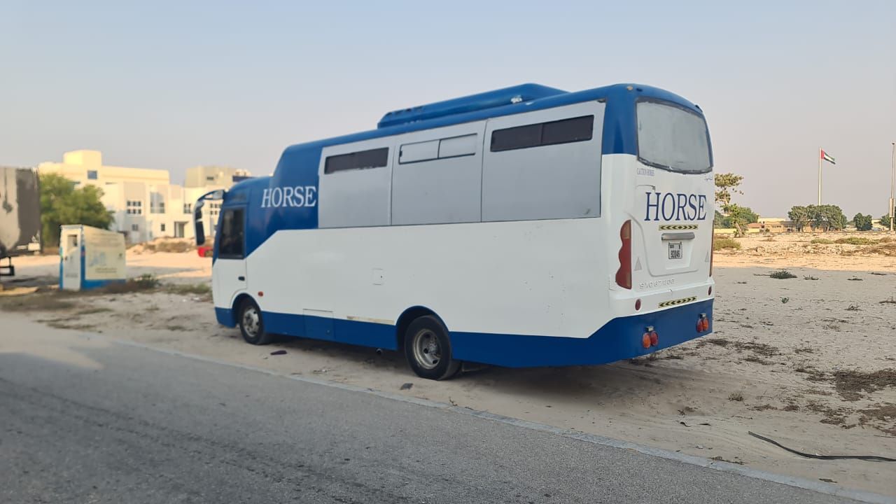 نقل واستيراد الخيول لكل انحاء دول الخليج — photo 4