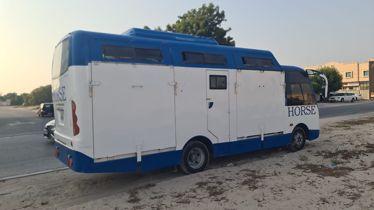 نقل واستيراد الخيول لكل انحاء دول الخليج — photo 3