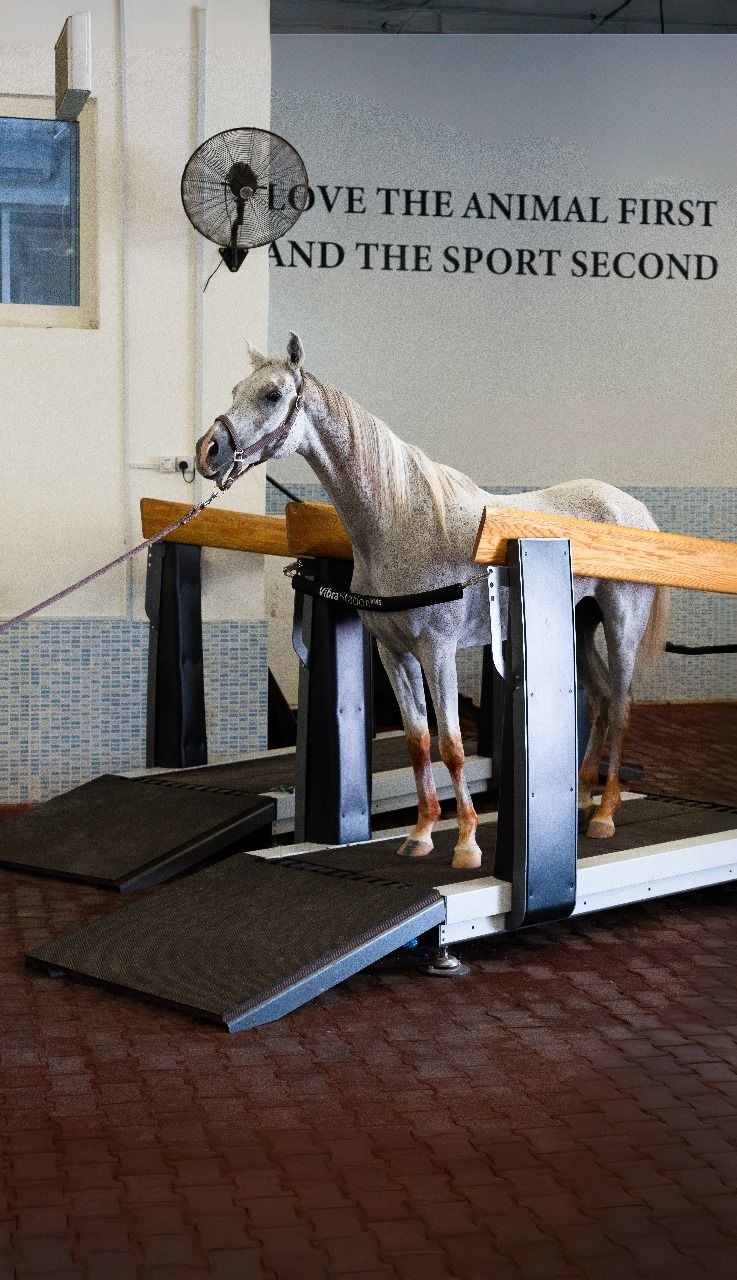 Quatro vibration station (20 Mins) — photo 1