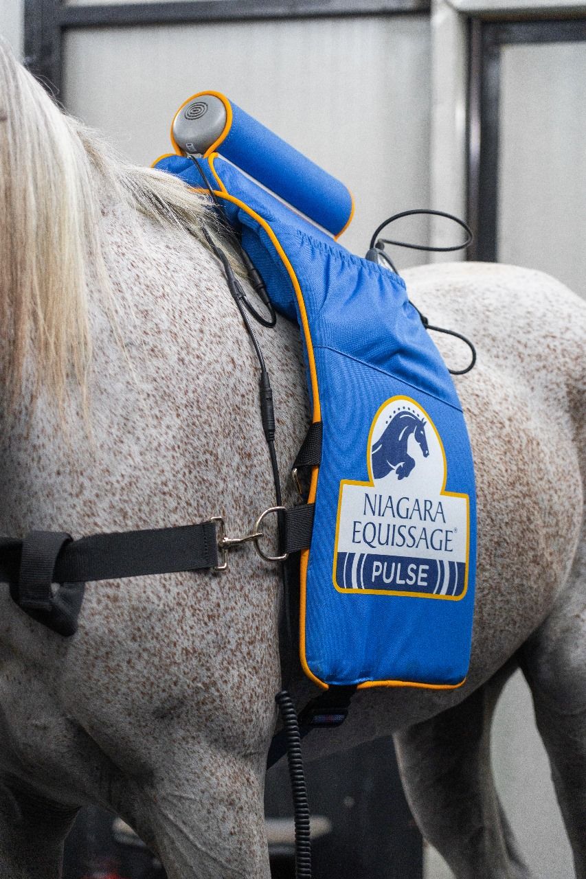 Equissage (20 Mins) — photo 1