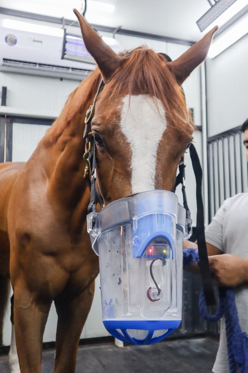 SaHoMa ultrasonic nebulizer (10 Mins) — photo 1