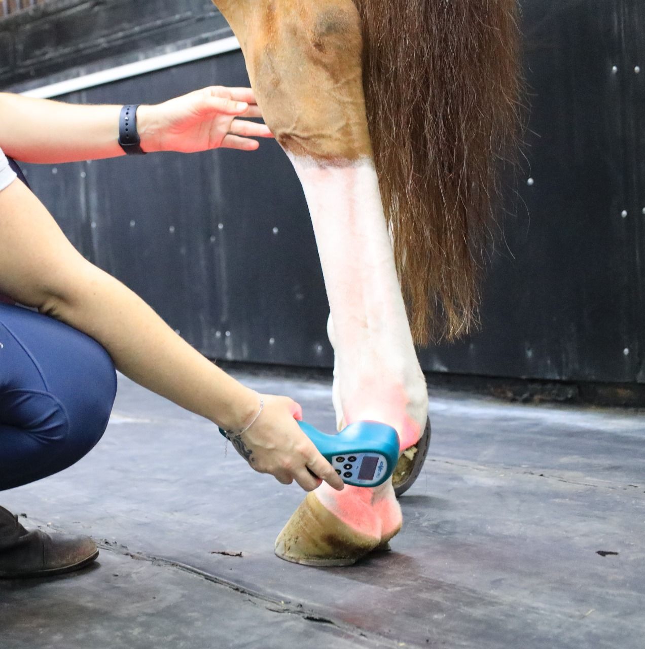 Laser (10 Mins, 40 Mins, 1 Hour) — photo 2