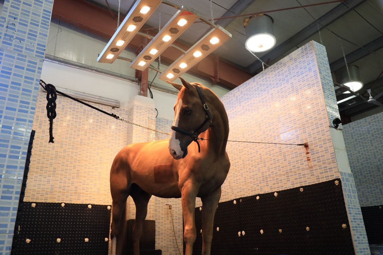 Infrared solarium (20 Mins) — photo 1