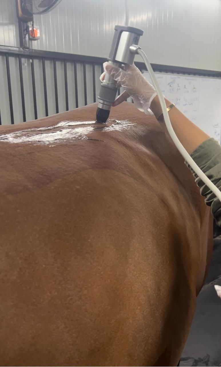 Shockwave (10 Mins) — photo 1