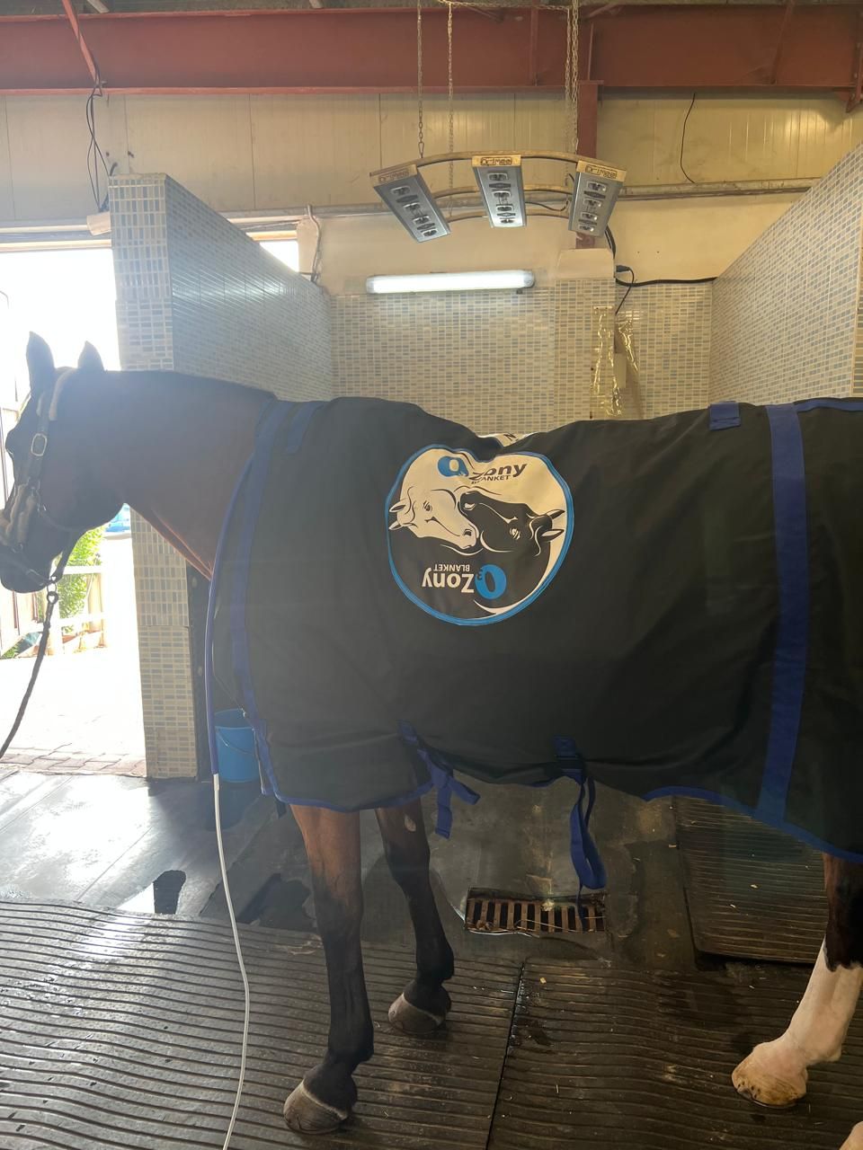 Ozone blanket (40 Mins) — photo 1