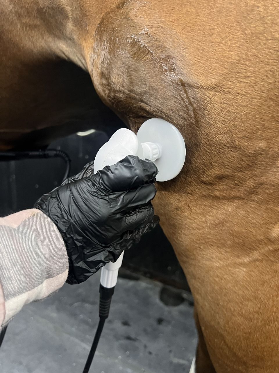 Tecar (10 Mins) — photo 2