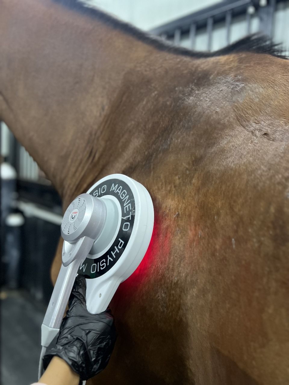 PEMF round head (20 Mins) — photo 1