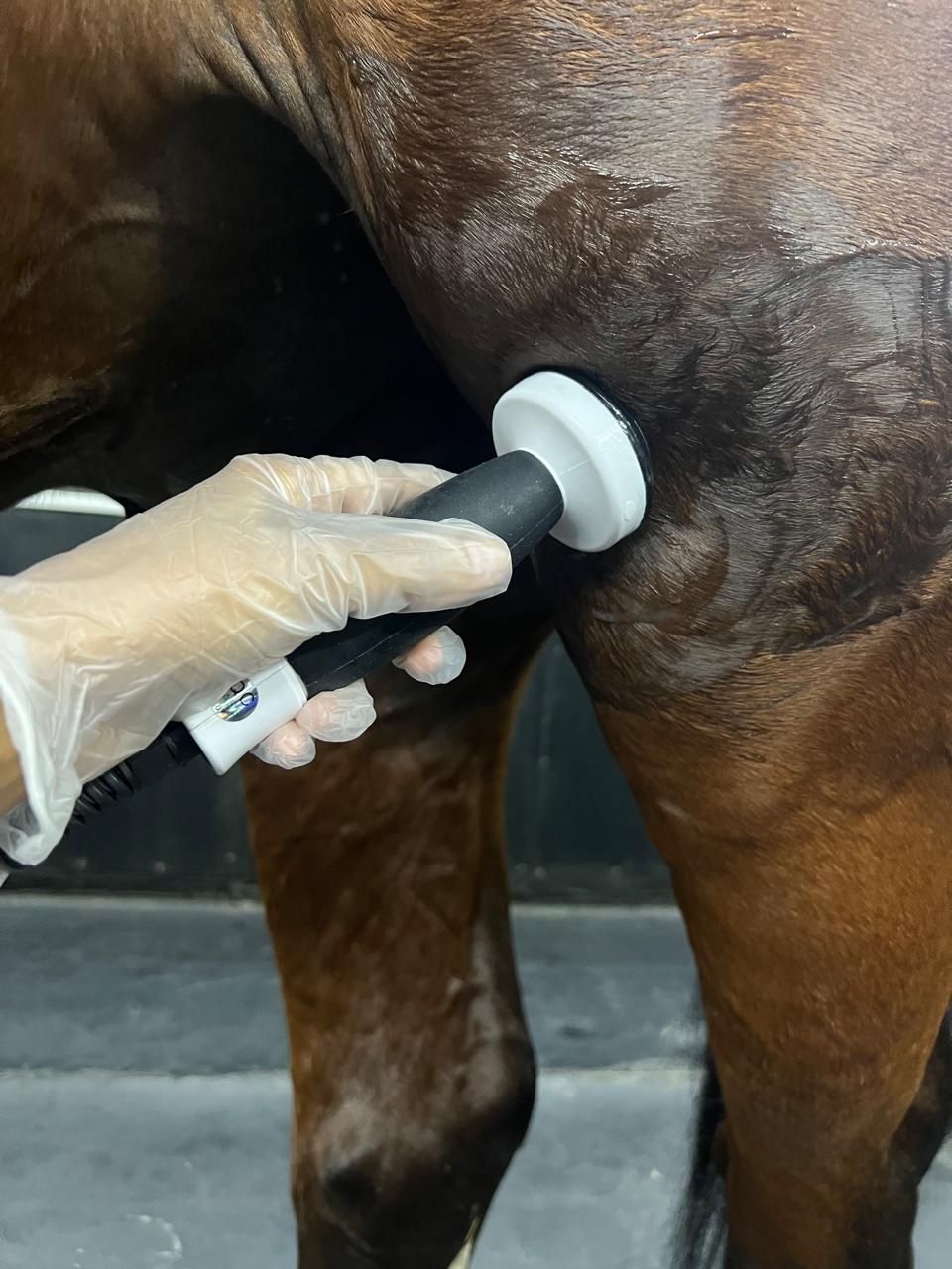 Low frequency ultrasound (15 Mins) — photo 1