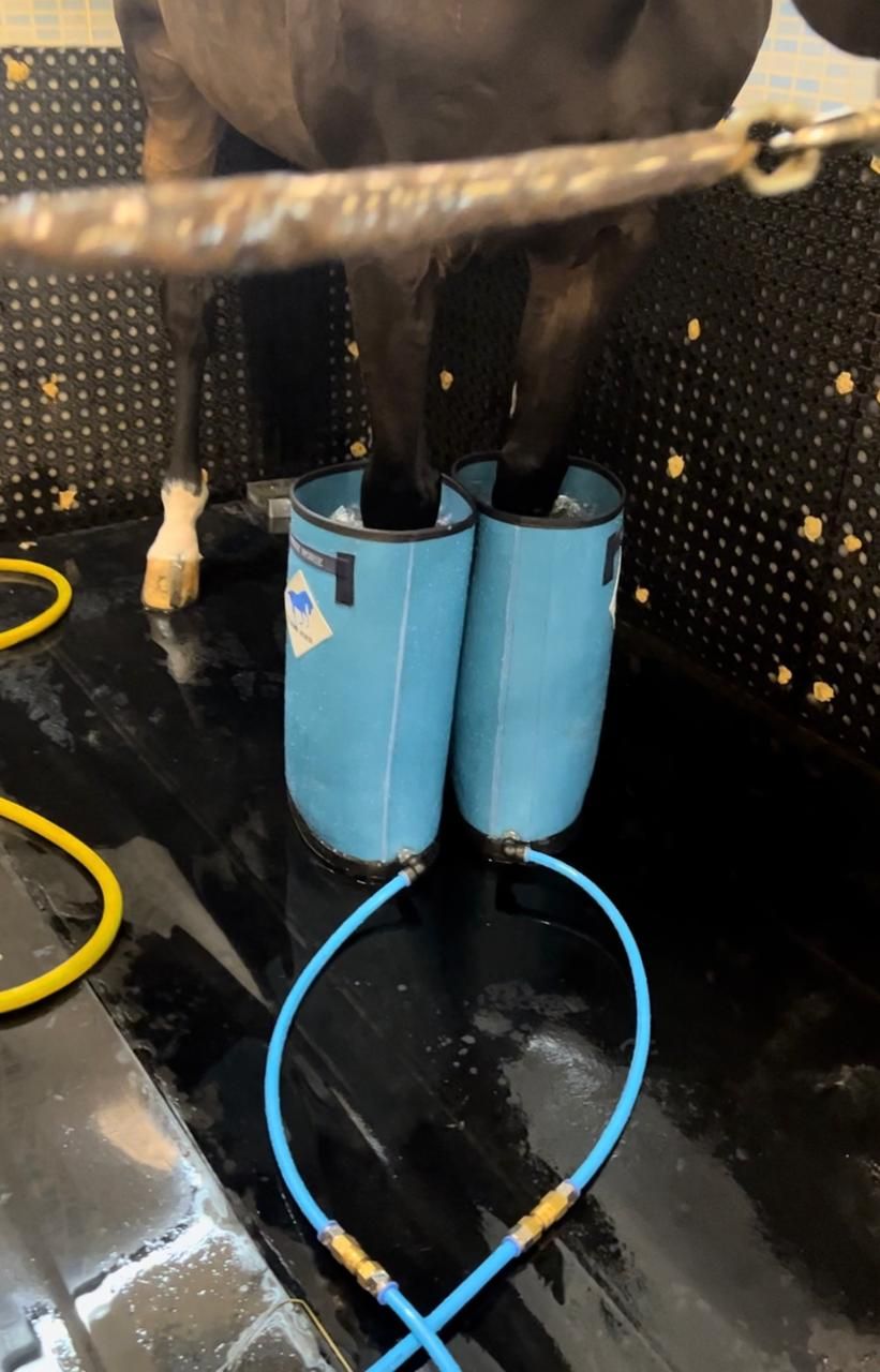 Ozone boots (20 Mins) — photo 1