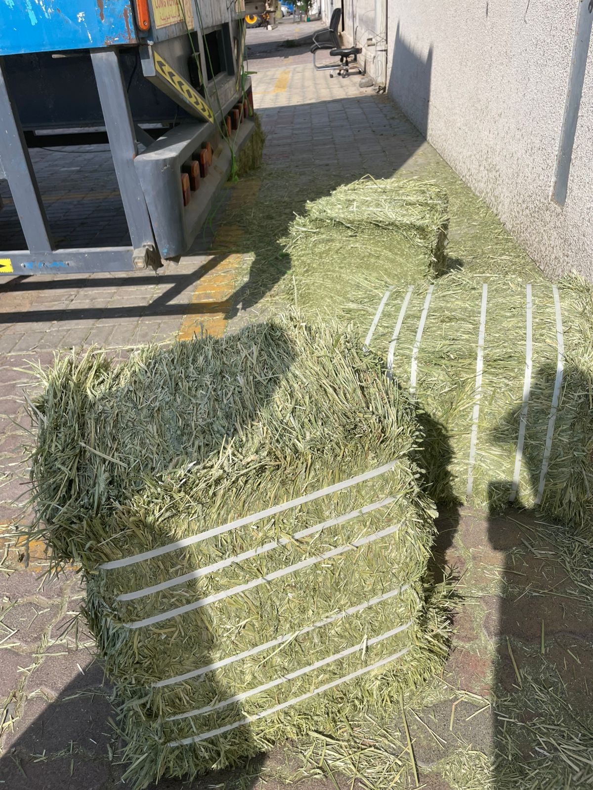 Timothy Hay Supreme Quality — photo 2