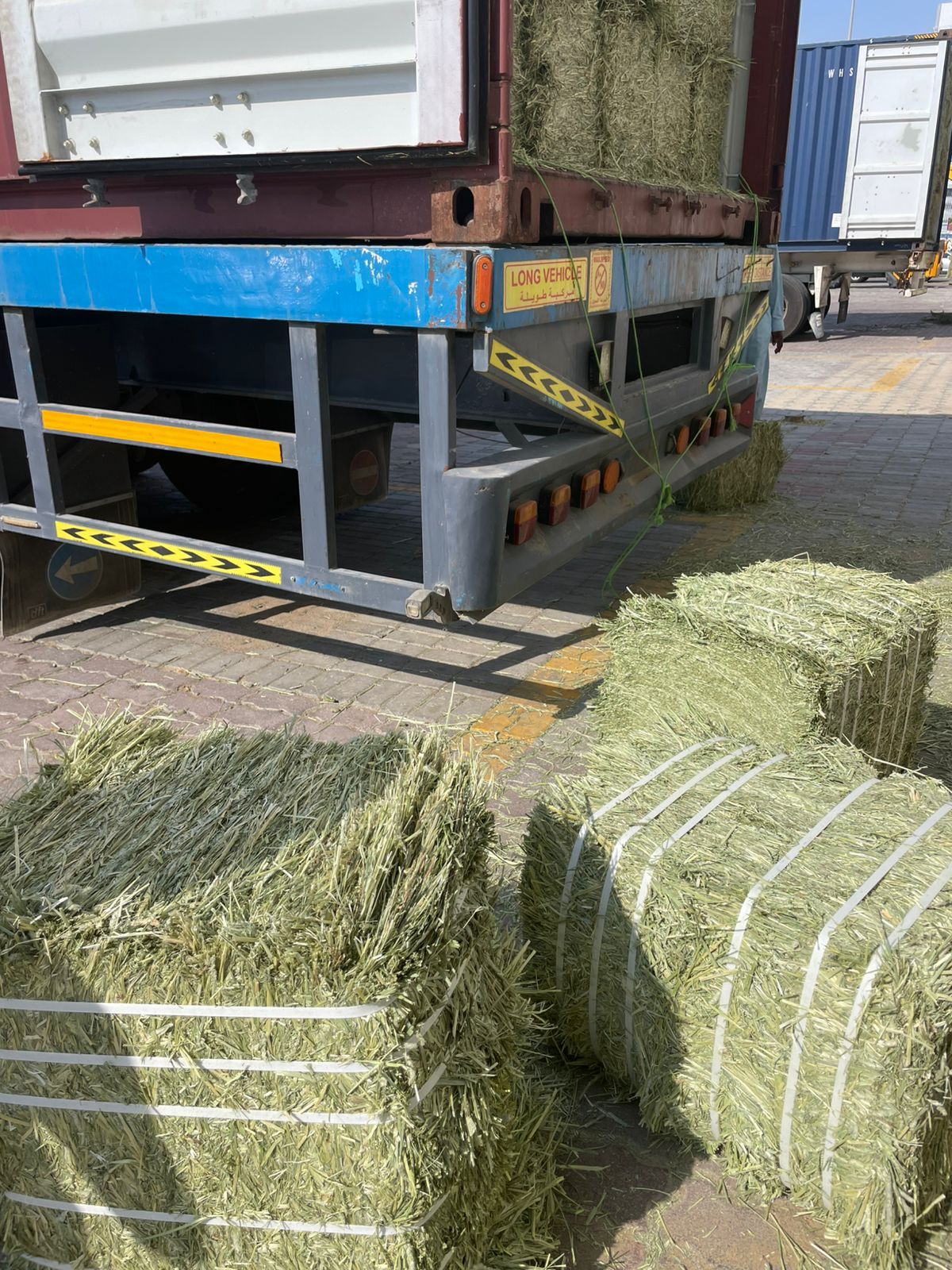 Timothy Hay Supreme Quality — photo 3