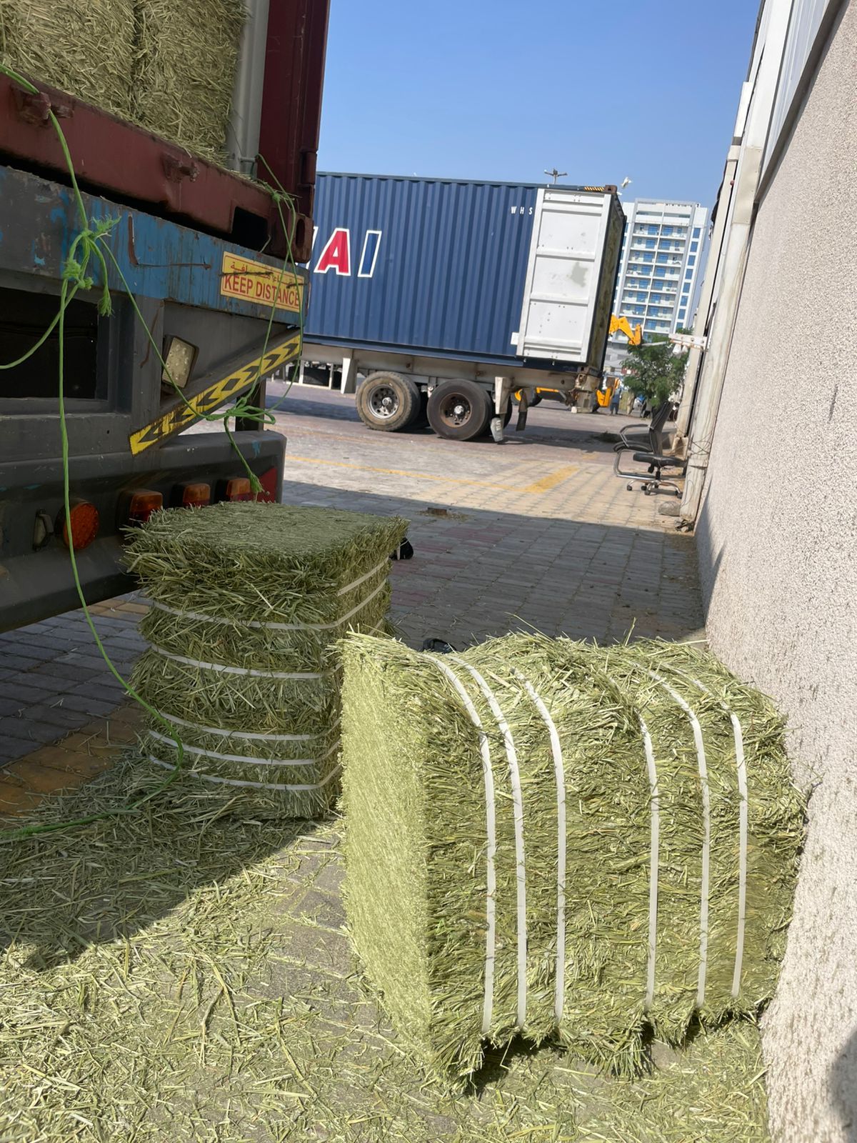 Timothy Hay Supreme Quality — photo 4