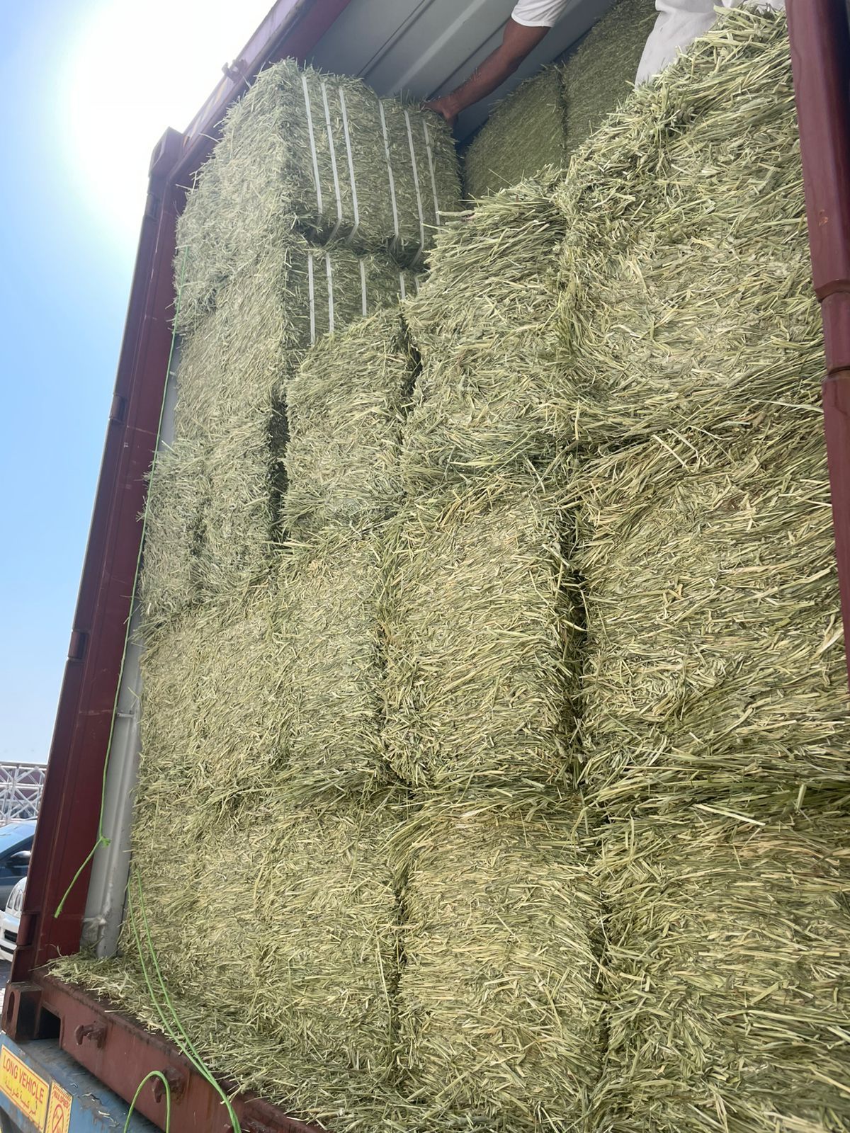 Timothy Hay Supreme Quality — photo 1