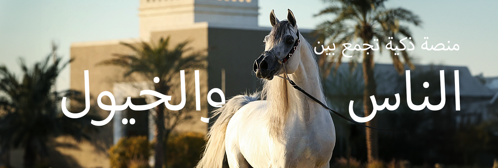 Promotional banner 1
