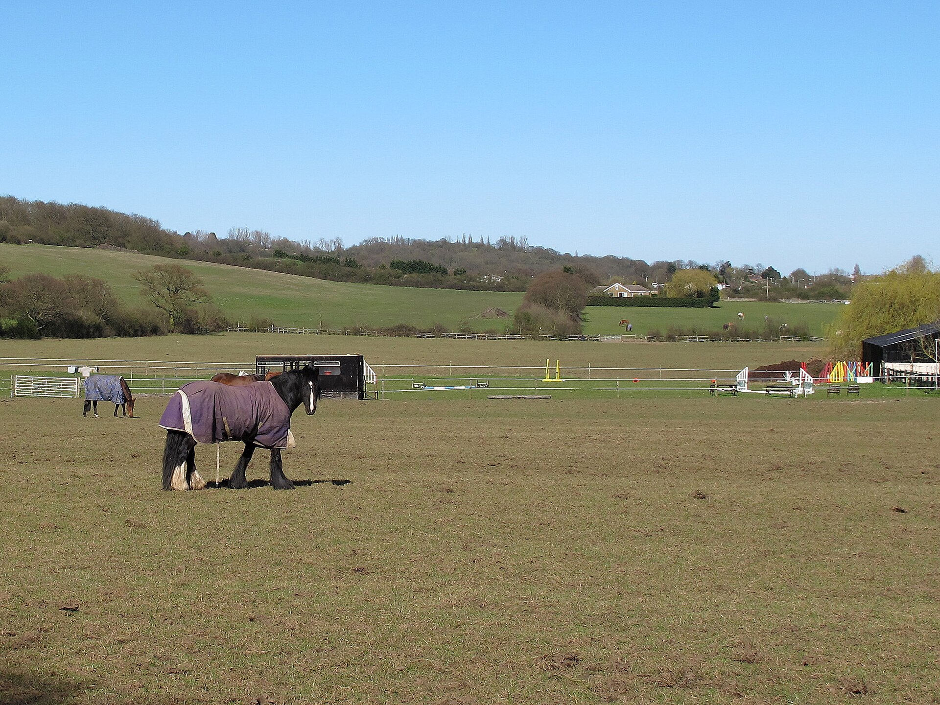 Normandy Farmhouse from 1801 with Stables and 4.3 ha of Grazing — photo 3