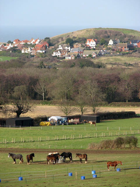 Normandy Farmhouse from 1801 with Stables and 4.3 ha of Grazing — photo 4
