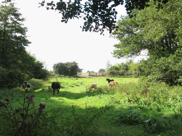 20 ha of Equestrian Land with Renovation Project, Perche — photo 1