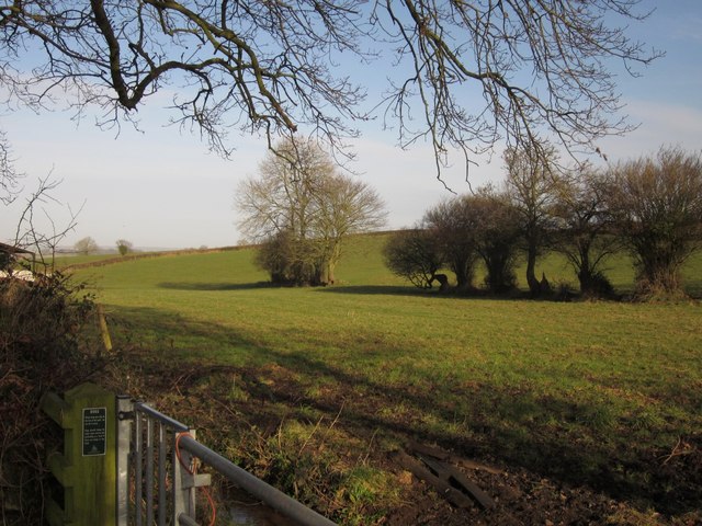 20 ha of Equestrian Land with Renovation Project, Perche — photo 2