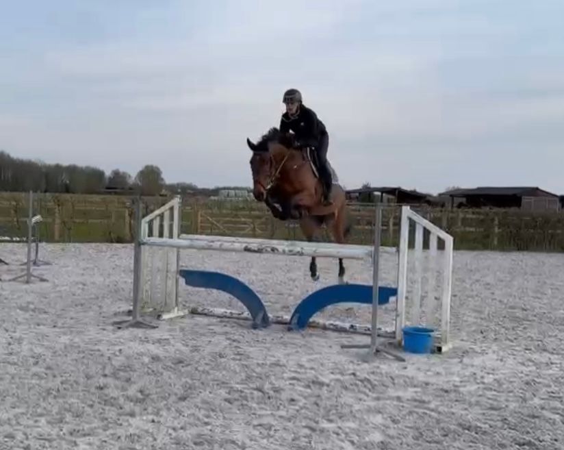 Dieu Merci x Ovidius — photo 1