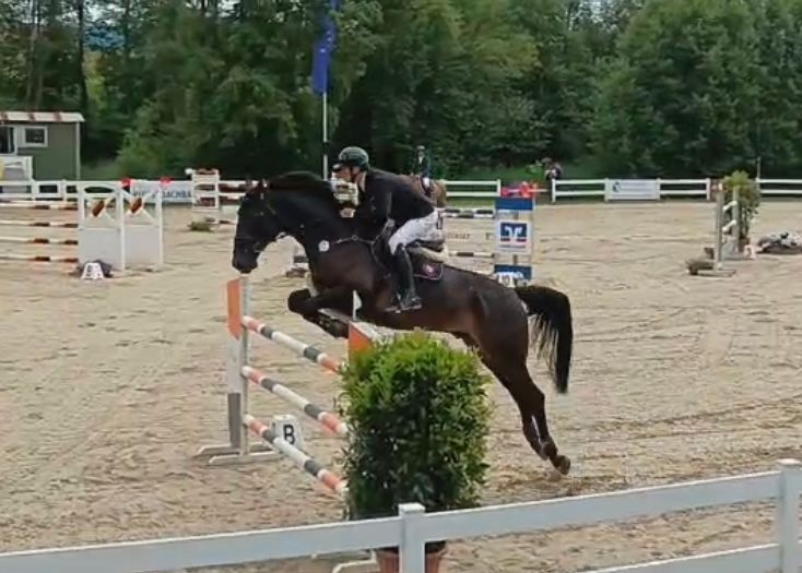 SCHWARZER DONNER — photo 1