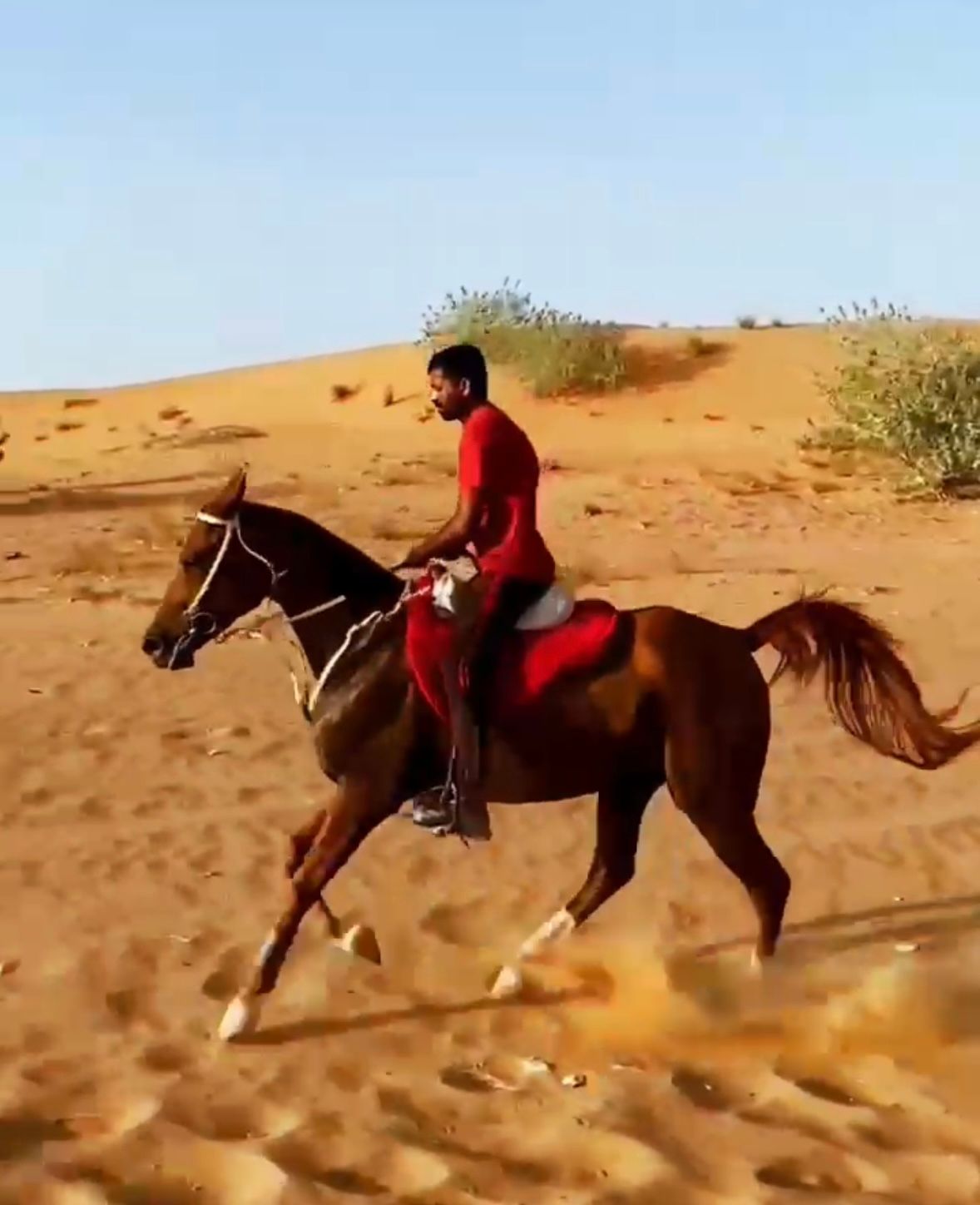 SALECHARD 14 18 — photo 1