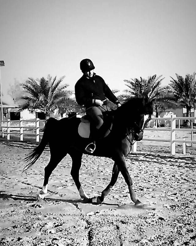 دروس الترويض - Dressage classes — photo 1