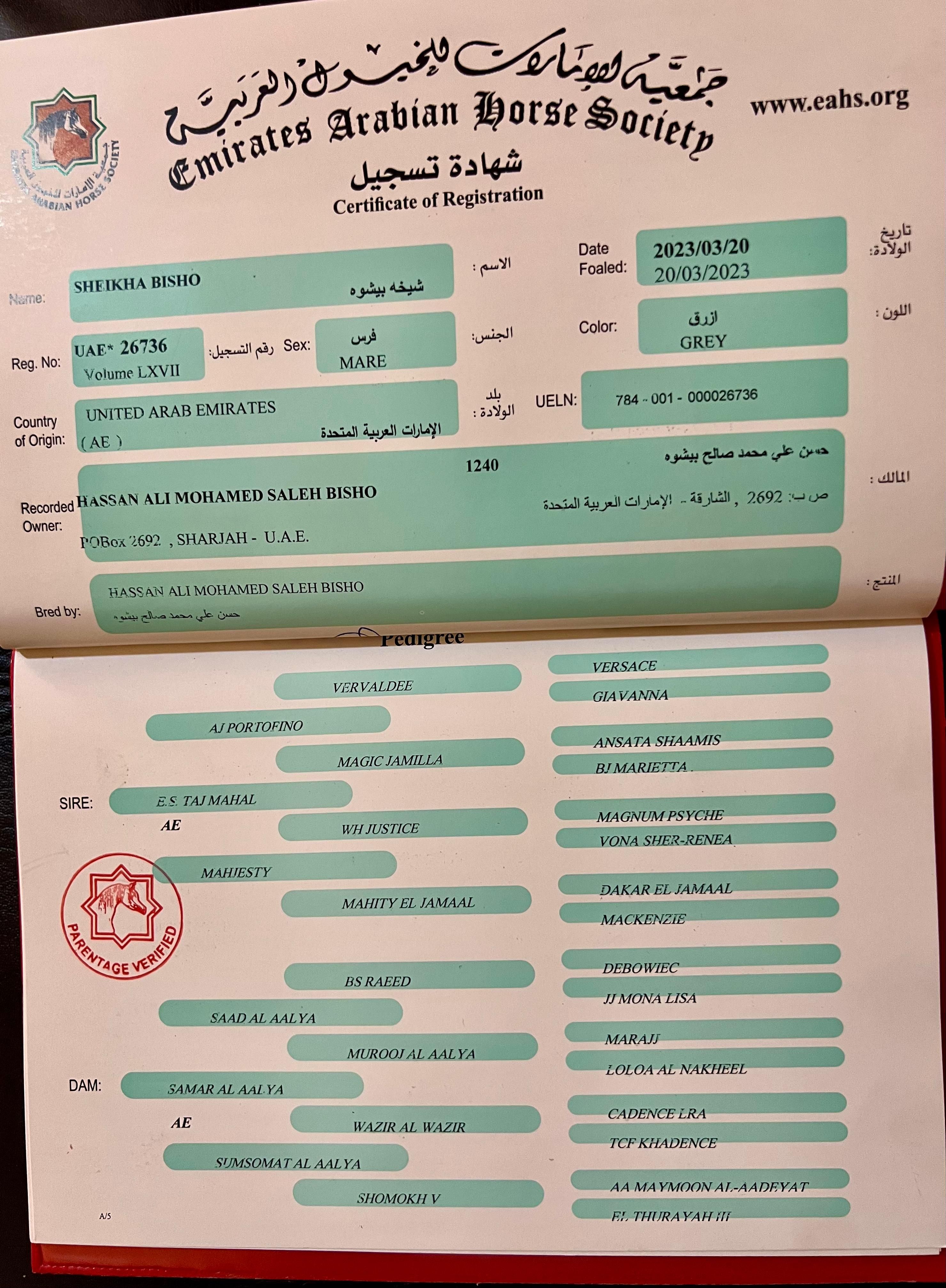 SHEIKHA BISHO — photo 3