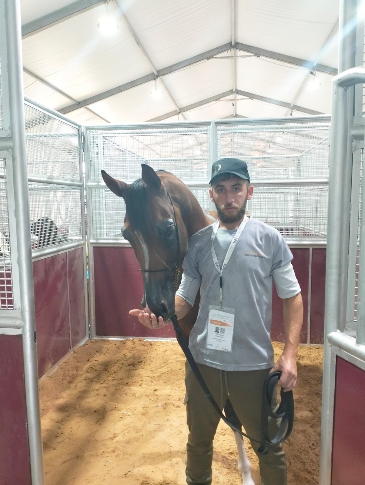 Horse Training - Jumping. تدريب الخيول - قفز — photo 1