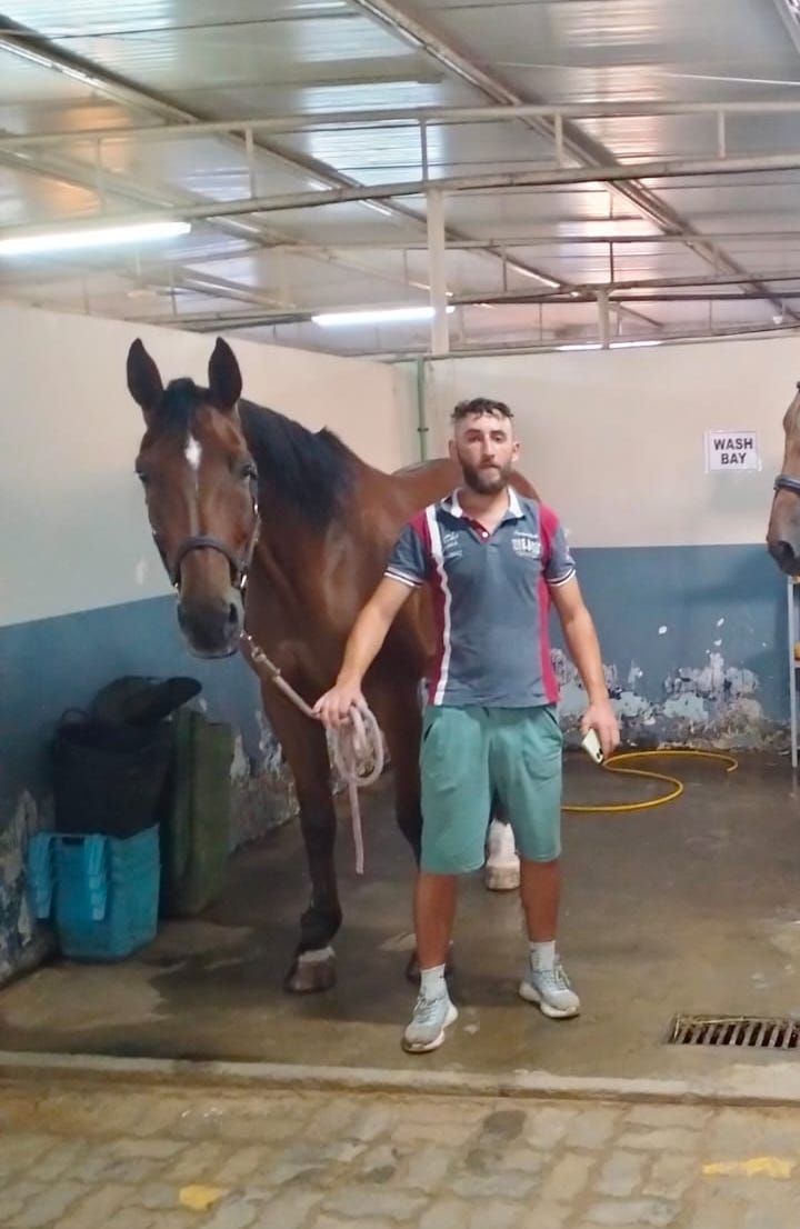 Young Horse Training - تدريب الخيول الصغيرة — photo 1